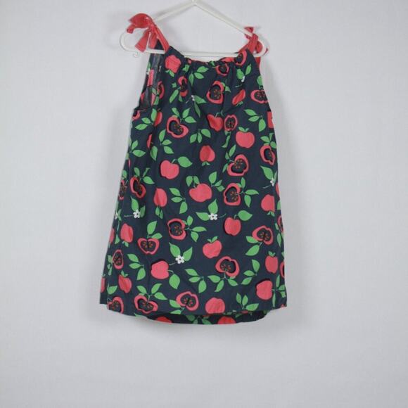 Hanna Andersson Girl's Dress with Apple Print Size EU 140 US 10 - Picture 4 of 7